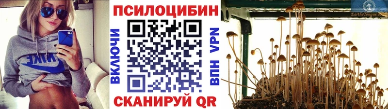 Галлюциногенные грибы GOLDEN TEACHER  Мамадыш 